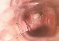 Tuyệt se x gai nhat vời âm cũng như lệnh phải là một nô lệ